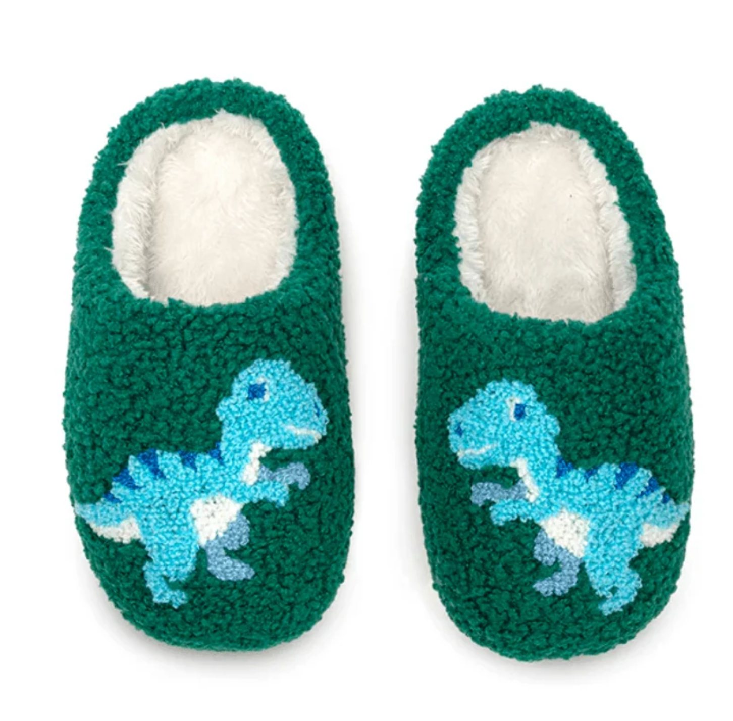 Blue Dinosaur Kids Indoor/Outdoor Slippers