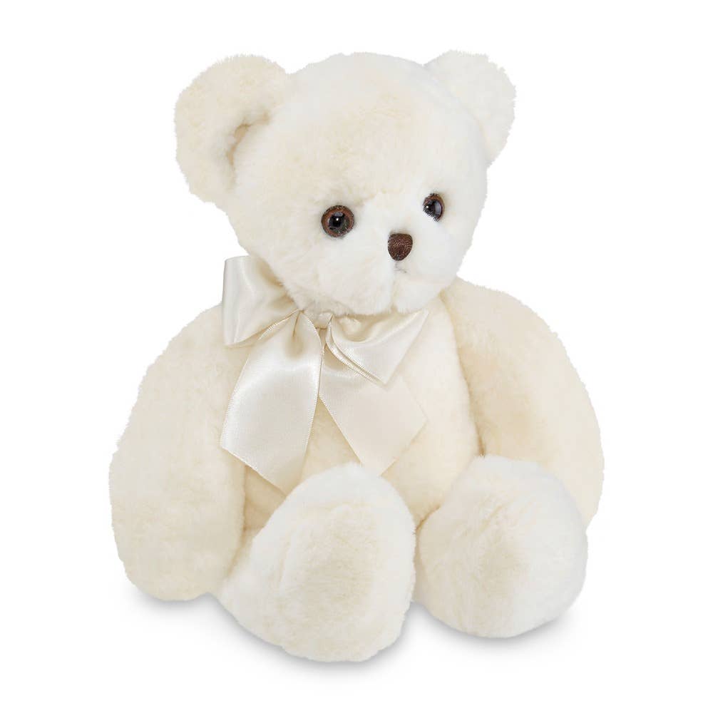 Chipper the Teddy Bear