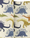 Dinosaur Muslin Swaddle